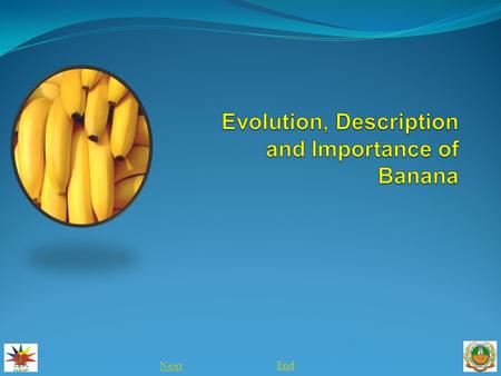 Evolution, Description and Importance of Banana