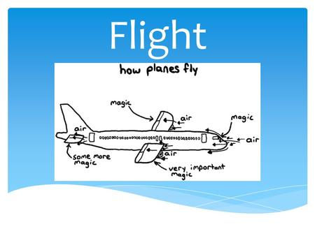 Flight. Floaters A floater does not really fly but, rather the wind controls the speed and direction of flight. Gliders Gliders have wings that interact.