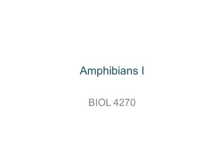 Amphibians I BIOL 4270. Amphibian Diversity & Adaptations Goals: 1)Examine the adaptations that have made amphibians so successful 2)Examine some of the.