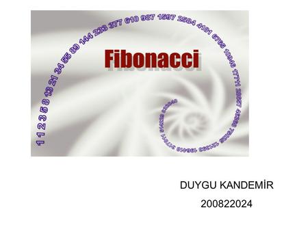 DUYGU KANDEMİR 200822024.