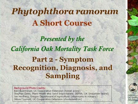 Phytophthora ramorum A Short Course Presented by the California Oak Mortality Task Force Part 2 - Symptom Recognition, Diagnosis, and Sampling Background.