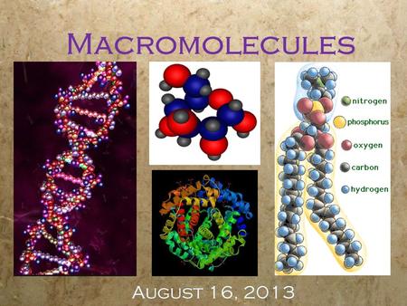 Macromolecules August 16, 2013. Objectives  Identify macromolecule type from pictures or models  Describe the functions of macromolecules  Identify.