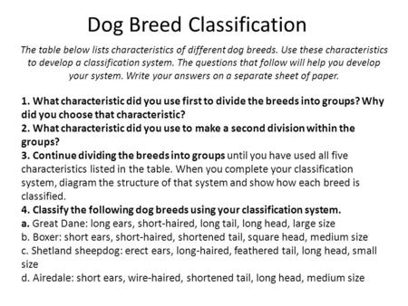 Dog Breed Classification