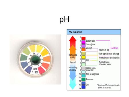 PH.