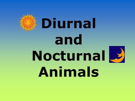 Diurnal and Nocturnal Animals. Diurnal Animals Diurnal is a tricky word! Let’s all say that word together. Diurnal [dahy-ur-nl] A diurnal animal is an.