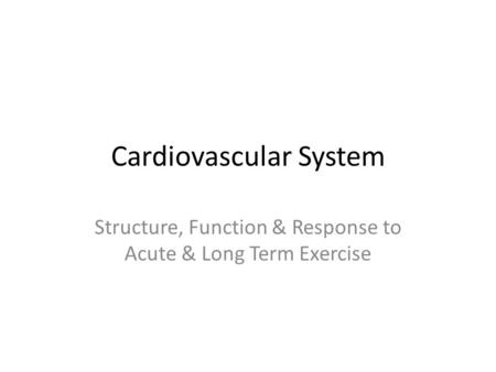 Cardiovascular System