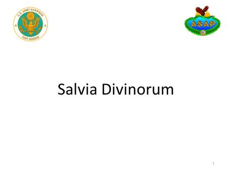 Salvia Divinorum 1. Learning Objectives Terminal Learning Objective: The unit commander will become familiar with Salvia Divinorum and be able to determine.