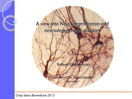 A view into Neurodegeneration and neurodegenerative diseases Bahareh Eftekharzadeh Laboratory of Dr. Xavier Salvatella SemesterI Crazy about Biomedicine.