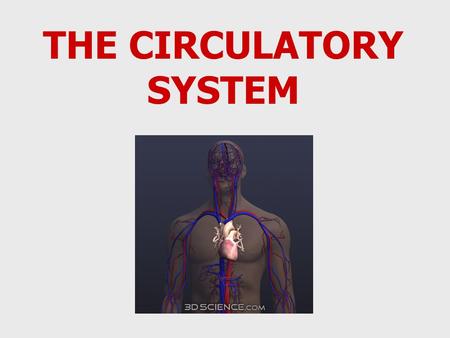 THE CIRCULATORY SYSTEM