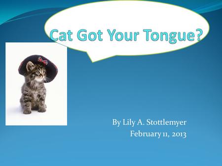 By Lily A. Stottlemyer February 11, 2013. Table of Contents Chapter 1: Introduction Chapter 2: Kitty Korner Mini story Smell Sight Hearing Taste Touch.