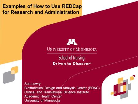 Sue Lowry Biostatistical Design and Analysis Center (BDAC) Clinical and Translational Science Institute Academic Health Center University of Minnesota.