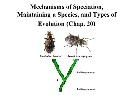 1. Populations are geographically isolated