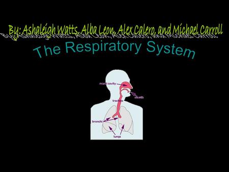 How many times per day do you think you breathe? You breathe about 25 times per minute, and about 36000 times per day What do you think is the purpose.