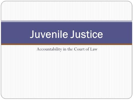 Accountability in the Court of Law Juvenile Justice.