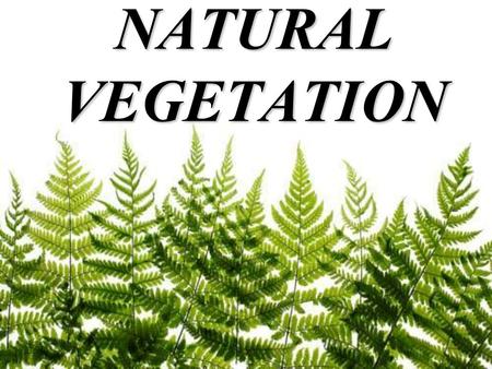 NATURAL VEGETATION.