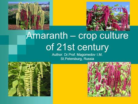 Amaranth – crop culture of 21st century Author: Dr.Prof. Magomedov I.M. St.Petersburg, Russia.