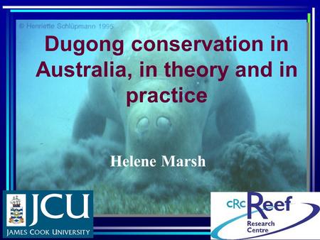 Dugong conservation in Australia, in theory and in practice Helene Marsh.