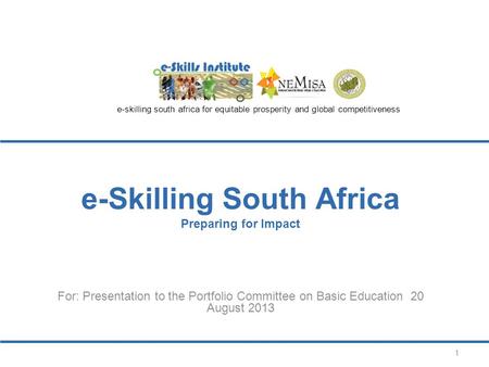 E-Skilling South Africa Preparing for Impact For: Presentation to the Portfolio Committee on Basic Education 20 August 2013 e-skilling south africa for.