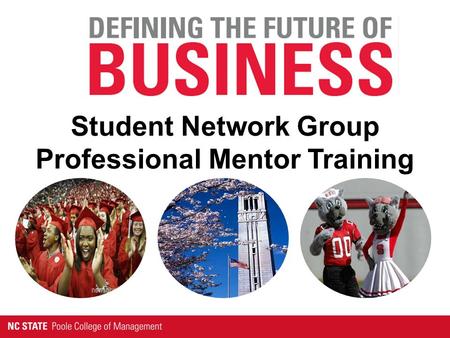 Student Network Group Professional Mentor Training.