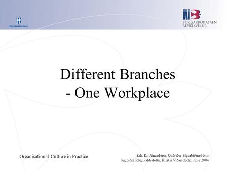 Organisational Culture in Practice Erla Kr. Jónasdóttir, Guðríður Sigurbjörnsdóttir Ingibjörg Rögnvaldsdóttir, Kristín Viðarsdóttir, June 2004 Different.