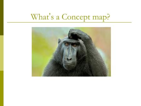 What’s a Concept map?. Example: Photosynthesis Terms: solar energy, food energy, CO 2, H 2 O, O 2, green plants solar energy green plants CO 2 H2OH2O.