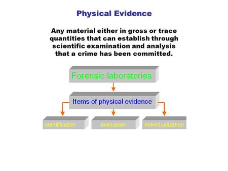 Physical Evidence Physical Evidence Any material either in gross or trace quantities that can establish through scientific examination and analysis that.