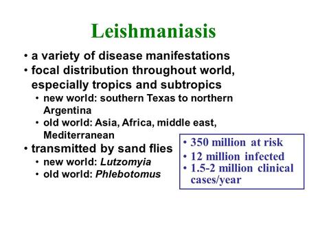 Leishmaniasis a variety of disease manifestations focal distribution throughout world, especially tropics and subtropics new world: southern Texas to northern.