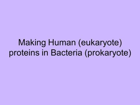 Making Human (eukaryote) proteins in Bacteria (prokaryote)