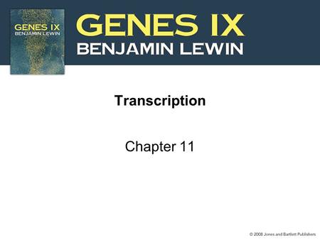 Transcription Chapter 11.