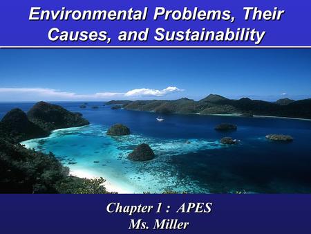 Environmental Problems, Their Causes, and Sustainability