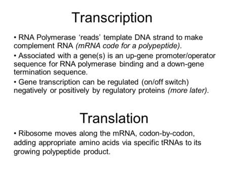 Transcription RNA Polymerase ‘reads’ template DNA strand to make complement RNA (mRNA code for a polypeptide). Associated with a gene(s) is an up-gene.