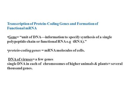 Transcription of Protein-Coding Genes and Formation of