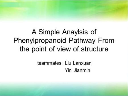 teammates: Liu Lanxuan Yin Jianmin