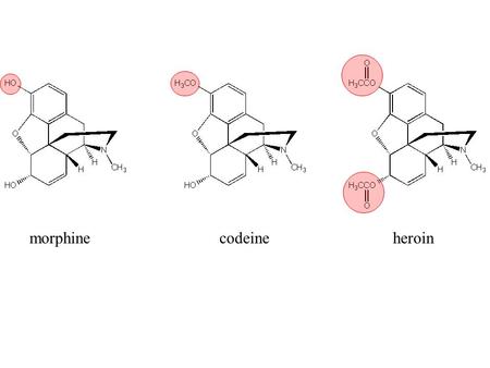 Morphine codeine heroin.