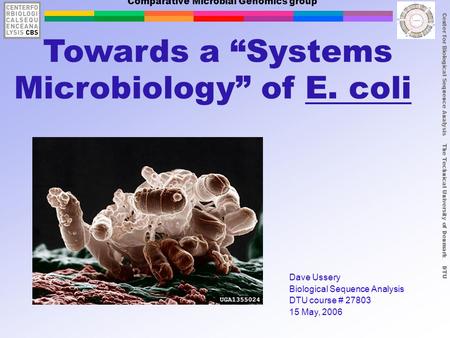 Center for Biological Sequence Analysis The Technical University of Denmark DTU Comparative Microbial Genomics group Towards a “Systems Microbiology” of.