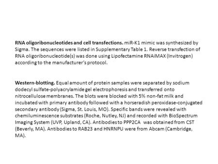 Western-blotting. Equal amount of protein samples were separated by sodium dodecyl sulfate-polyacrylamide gel electrophoresis and transferred onto nitrocellulose.