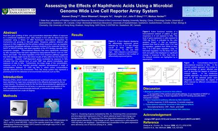 Assessing the Effects of Naphthenic Acids Using a Microbial Genome Wide Live Cell Reporter Array System Xiaowei Zhang 1,2 *, Steve Wiseman 2, Hongxia Yu.