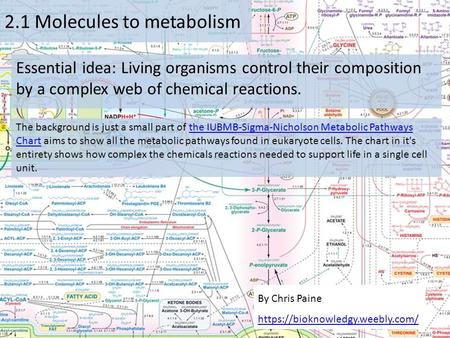 2.1 Molecules to metabolism