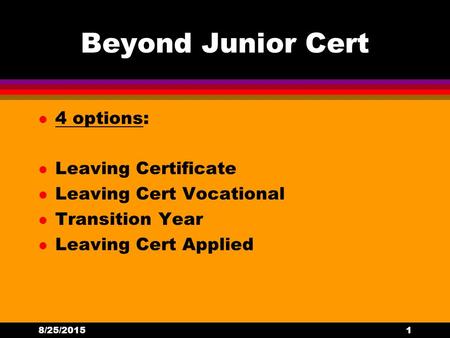 Beyond Junior Cert 4 options: Leaving Certificate