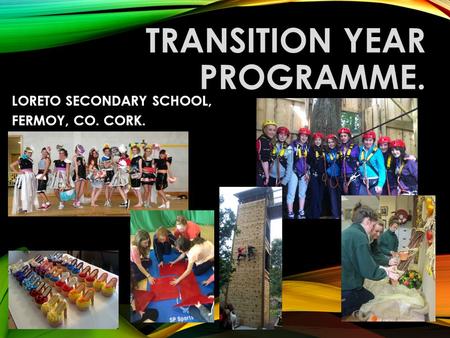 TRANSITION YEAR PROGRAMME.