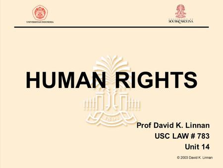 HUMAN RIGHTS Prof David K. Linnan USC LAW # 783 Unit 14.