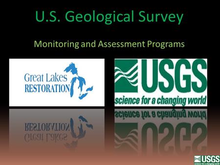 Management Issues in the Lake Michigan Basin  Aquatic invasive species  Nutrient enrichment  Beach Health  Contaminants – in Sediments, Fish and Drinking.