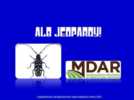 ALB Jeopardy! Adapted from a design from the James Madison Center, JMU.