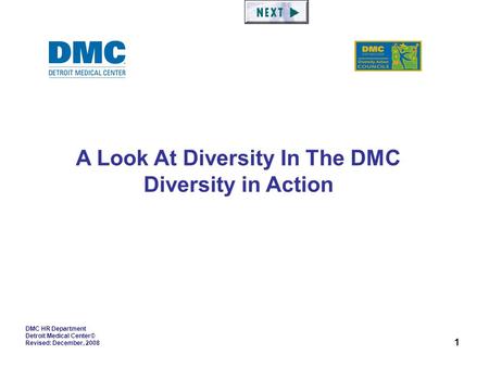 1 DMC HR Department Detroit Medical Center© Revised: December, 2008 A Look At Diversity In The DMC Diversity in Action.