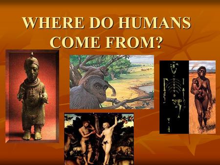 WHERE DO HUMANS COME FROM? Origin Stories Origin Stories are stories that we humans tell ourselves about where our species, and oftentimes our cultures,