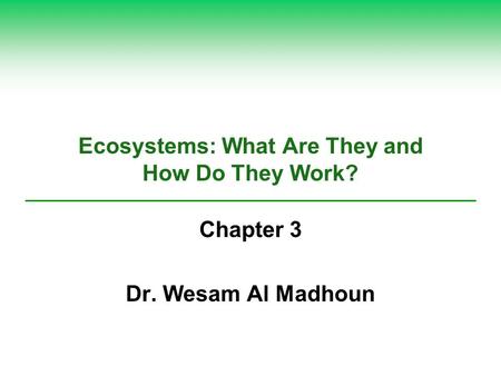 Ecosystems: What Are They and How Do They Work?