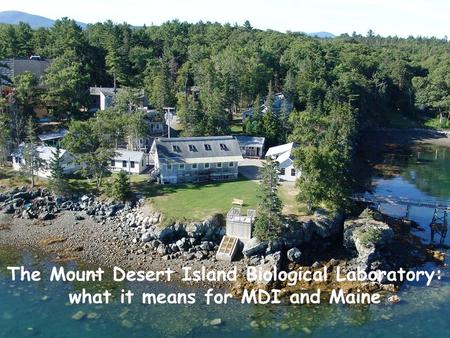 The Mount Desert Island Biological Laboratory: what it means for MDI and Maine.