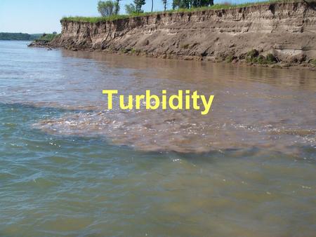 Turbidity.