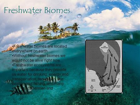 By Marylene Poyhanya Freshwater Biome Freshwater biomes are located everywhere on earth. Without freshwater biomes we would not be alive right now. Freshwater.