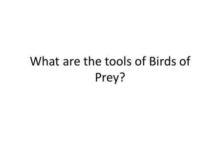 What are the tools of Birds of Prey?. Talons Sharp beak.